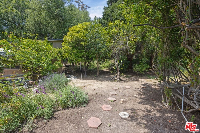 Building Photo - 11623 Canton Pl