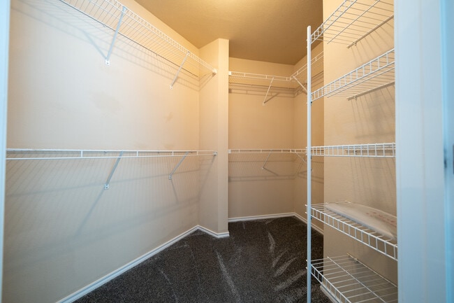 Building Photo - 13580 Technology Dr.