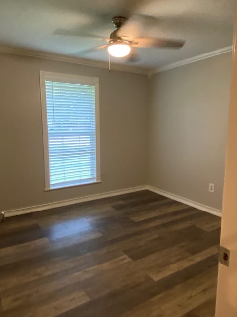 Building Photo - 1621 Brookfield Dr