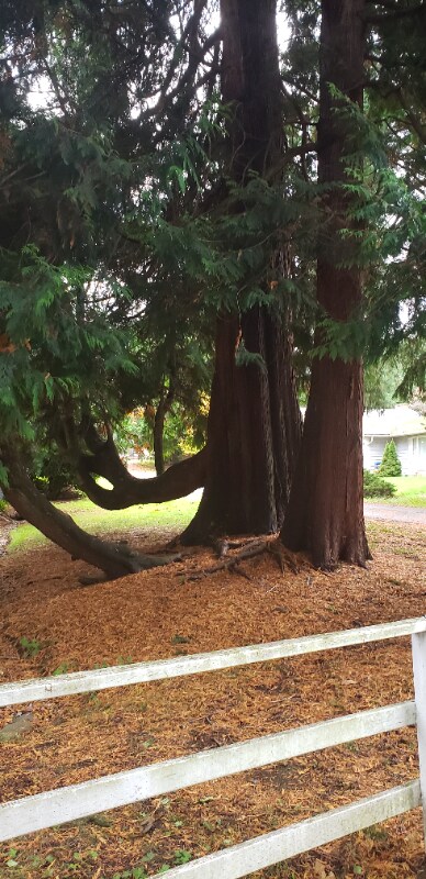 Building Photo - 24302 Kent Easthill