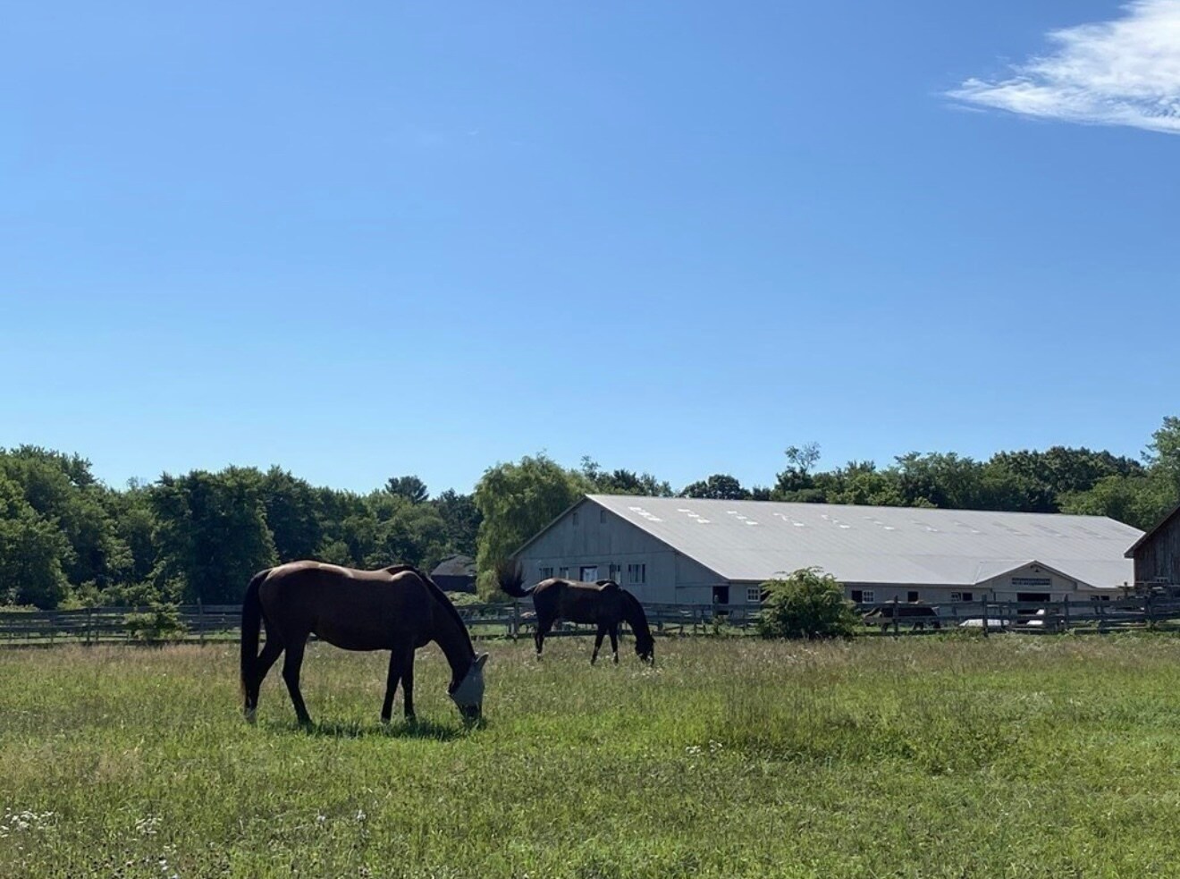 Building Photo - 253 Davis Rd