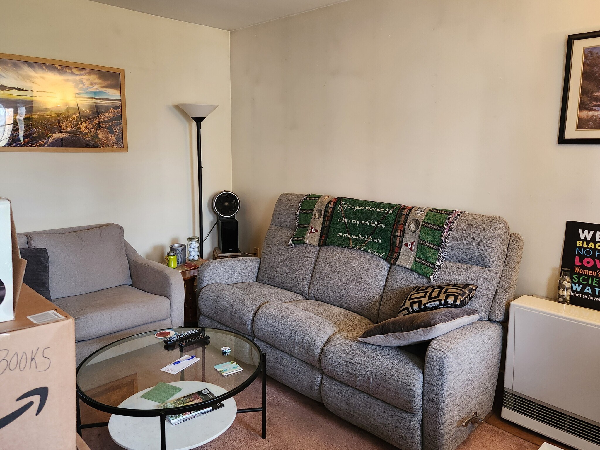 Livingroom with 2 large windows - 11 McKinley St