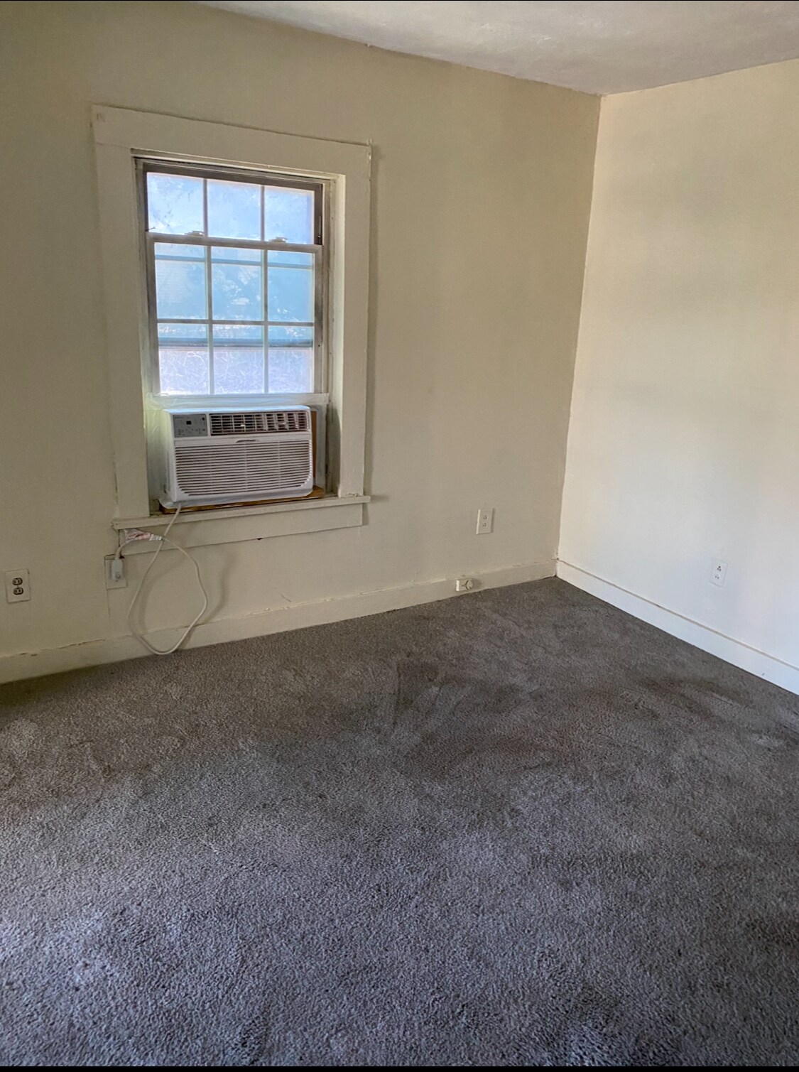 Building Photo - 217 Scott Ave