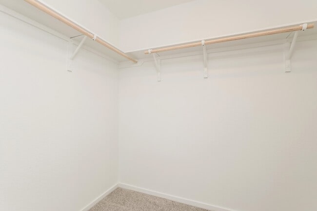 Building Photo - 10813 Bird Of Paradise Ln