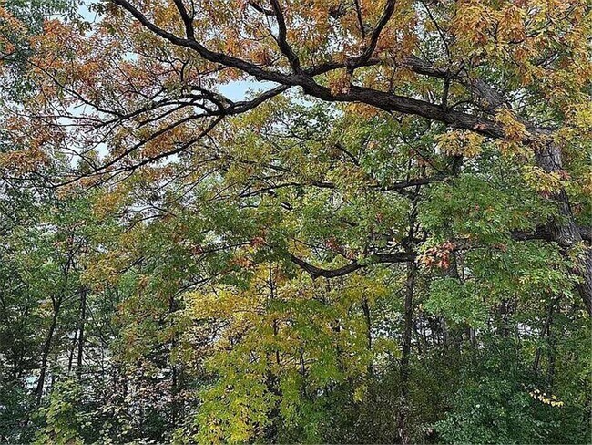 Building Photo - 7783 Kingsview Ln N