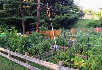 Community garden - 7501 Spring Lake Dr