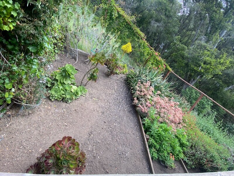 Building Photo - 152 Paseo Bonito Ln