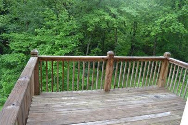 Building Photo - 4 Bedroom Townhome in Lynchburg
