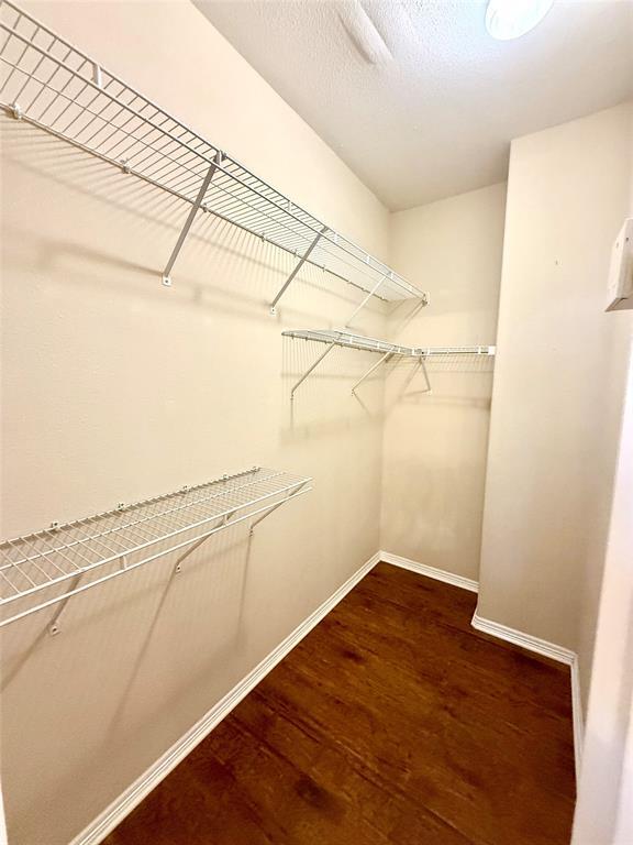 Building Photo - 908 Sterling Creek Cir