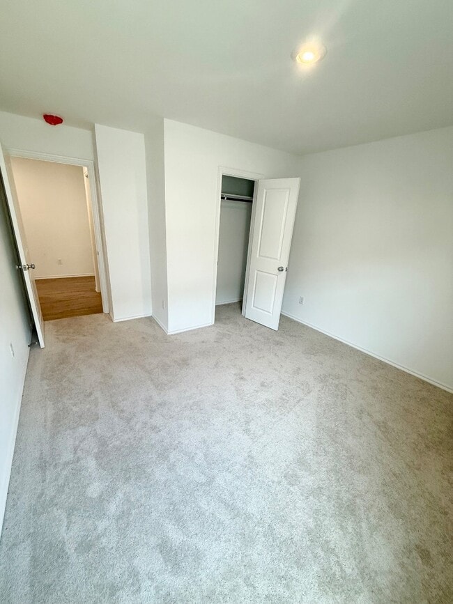 Building Photo - 3733 Palmetto Blf Dr