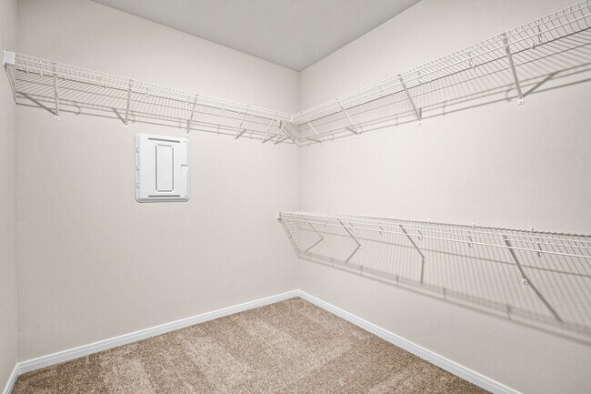 Building Photo - 10407 Red Cardinal Dr