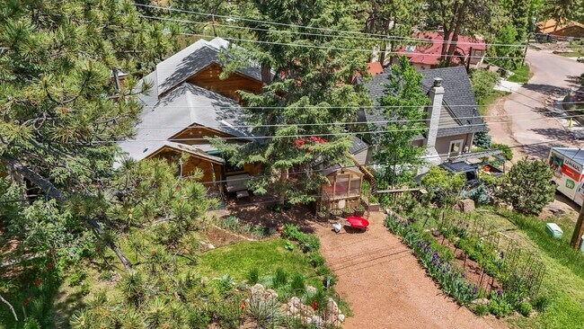 Building Photo - Cozy Green Mountain Falls Cottage