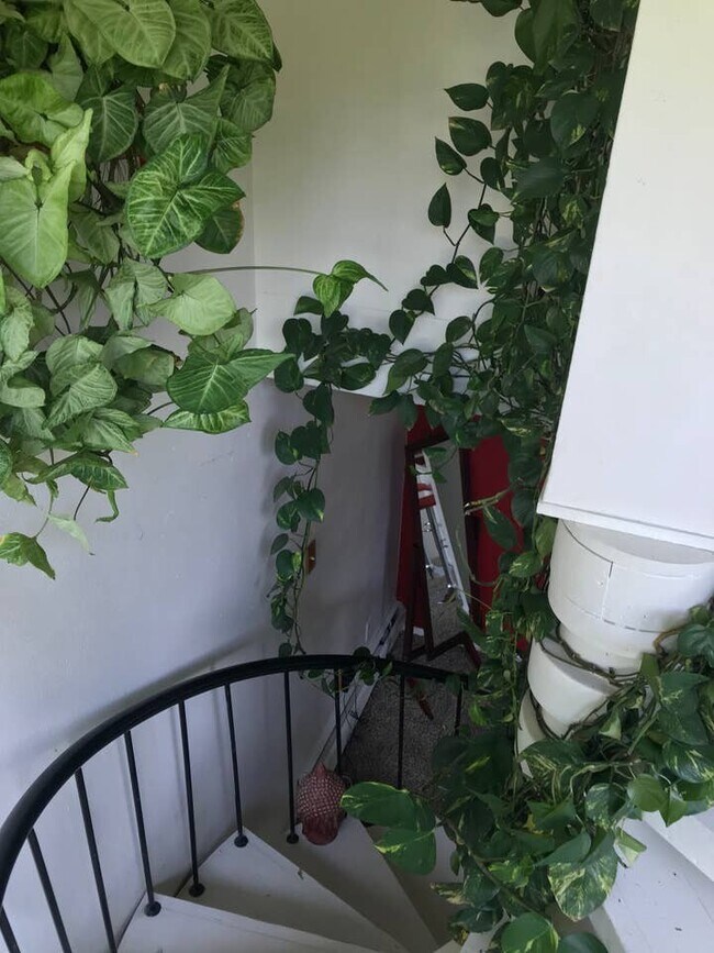 Building Photo - Cozy 1B/1B Condo off Canyon in Downtown Boulder - Available May 8!