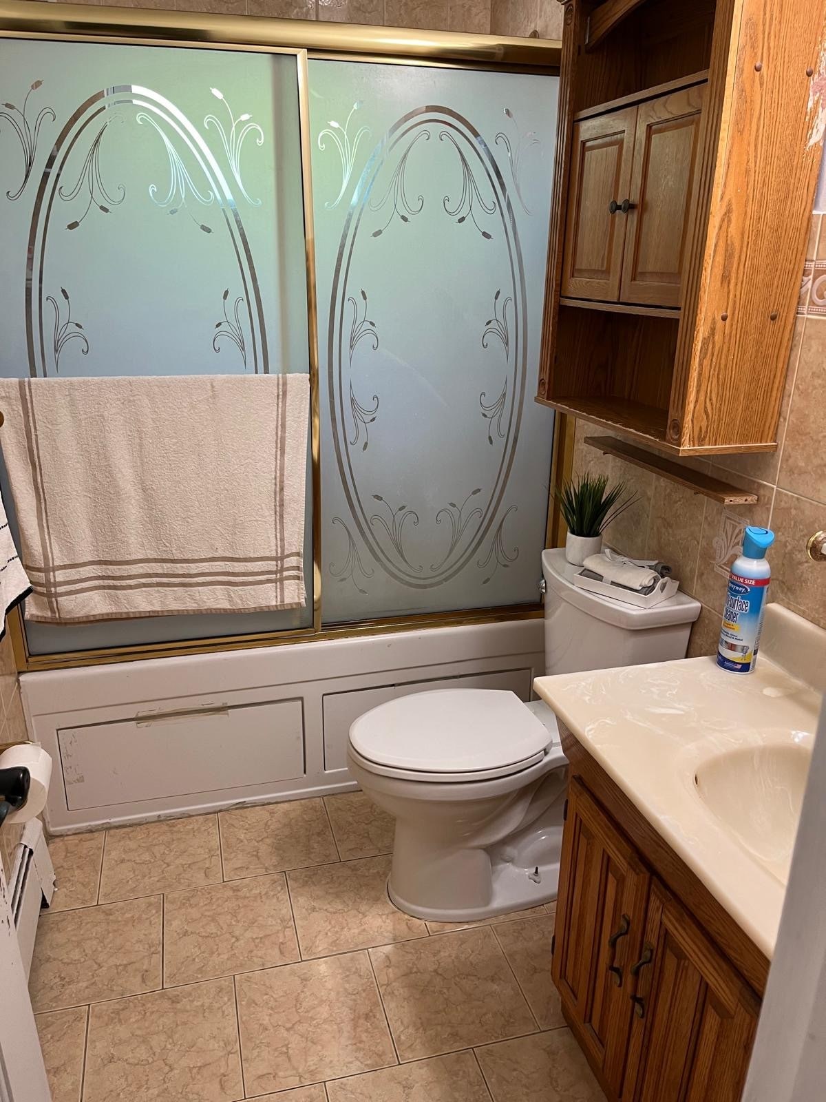 Bathroom - 12 Williamson St