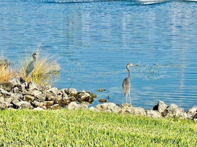 Building Photo - 28318 Captiva Shell Lp