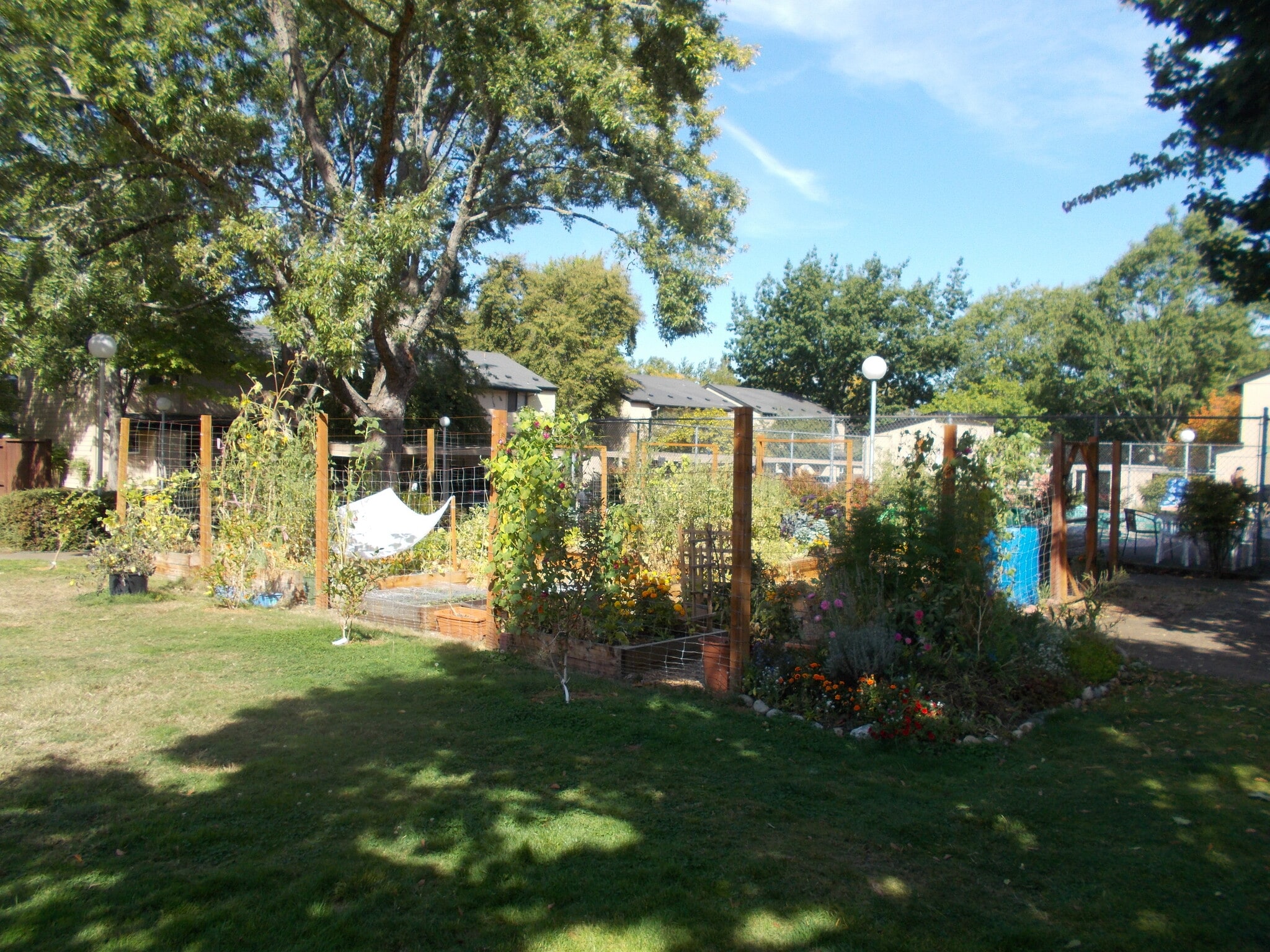 Community Garden - 1507 Fetters Loop