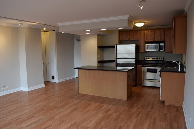 Building Photo - 1360 N Sandburg Terrace