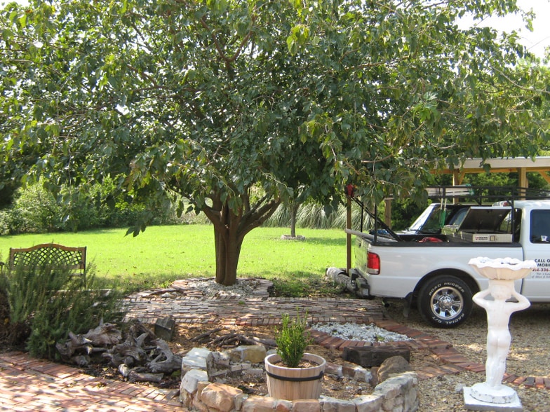 Building Photo - 3405 Dorothy Ln