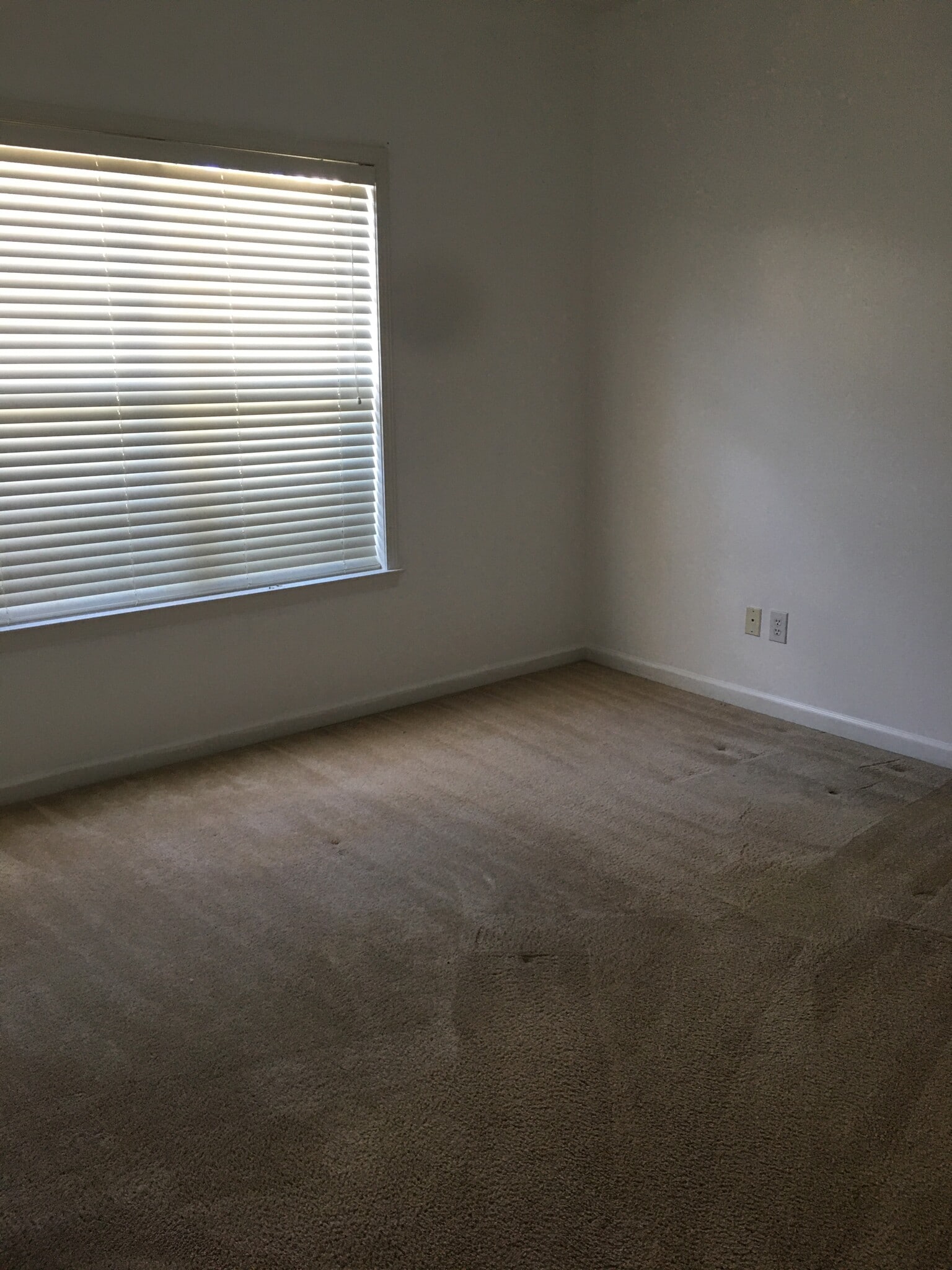 Building Photo - 534 Fielding Ct