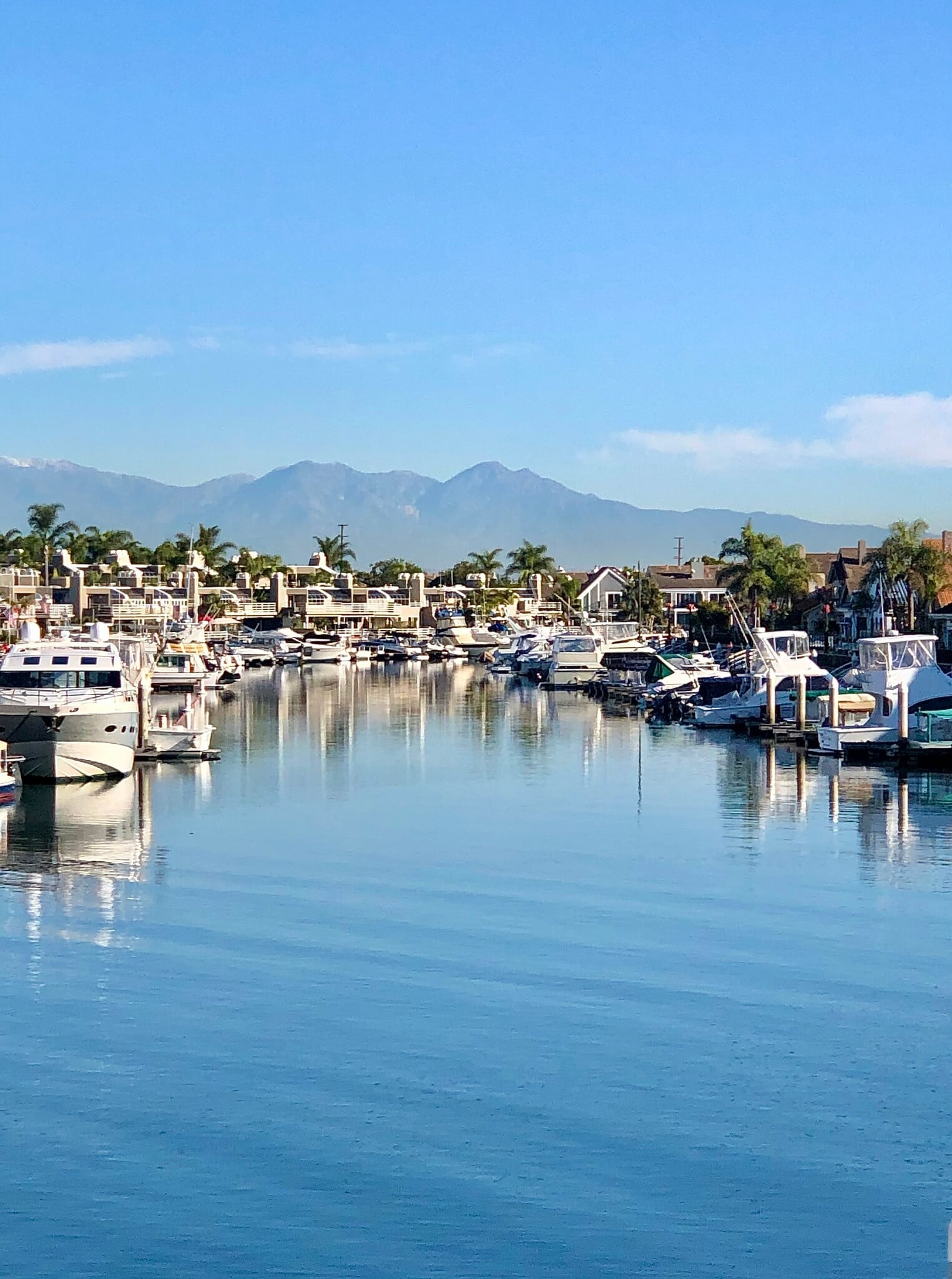 Building Photo - 3289 Moritz Dr