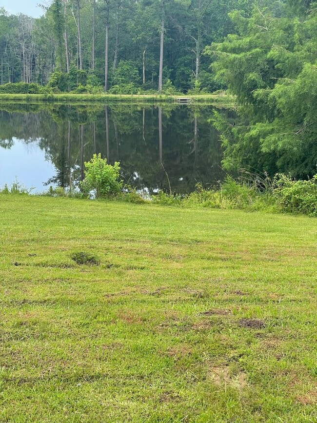 Building Photo - Waterfront Home!