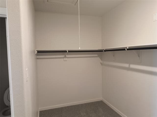 Building Photo - 125 Lost Crk Trl