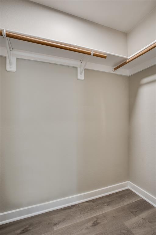 Building Photo - 517 Dusty Leather Ct