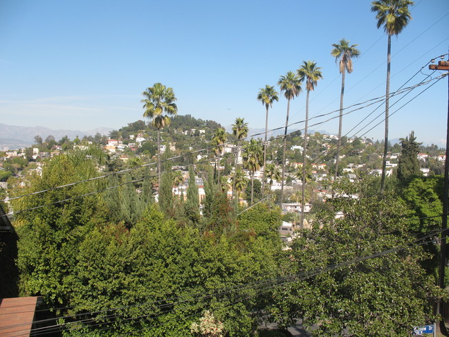 View - Maltman Ave - Silverlake