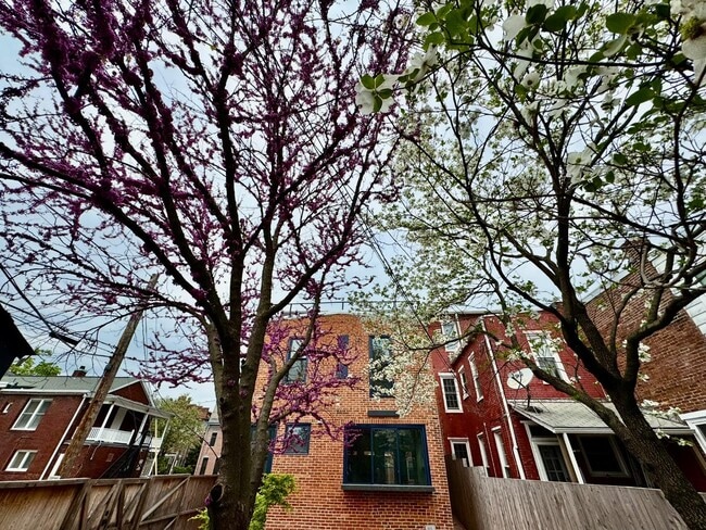 Building Photo - 107 Calder St