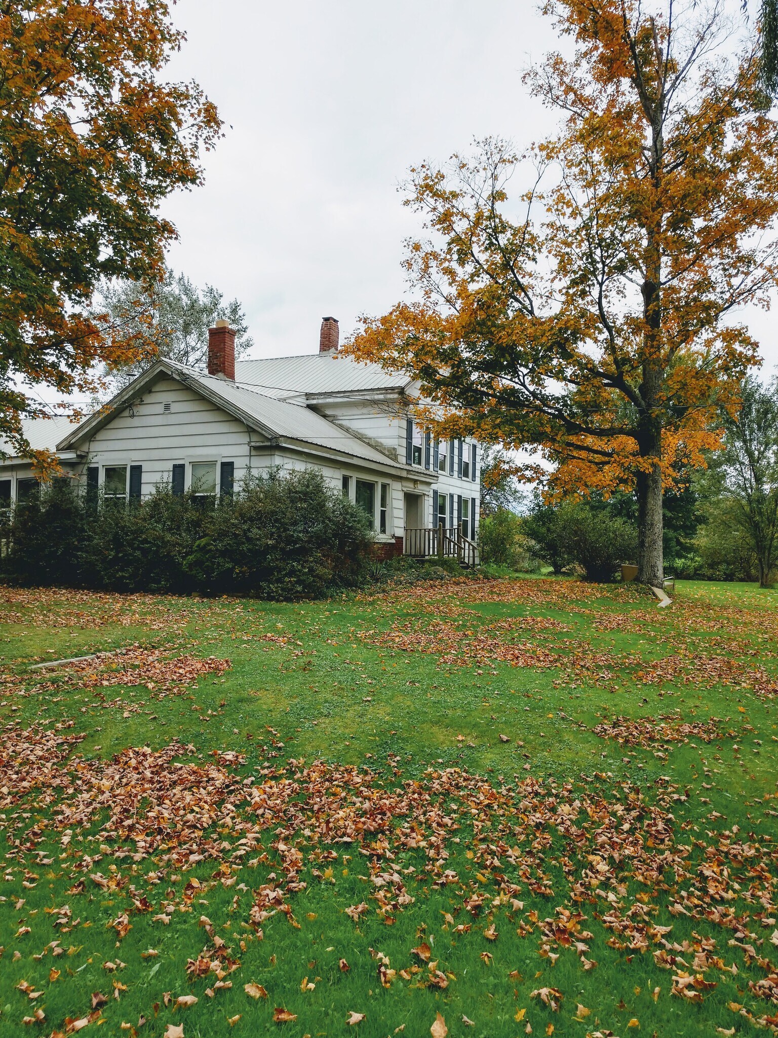 Building Photo - 10479 Protection S Rd