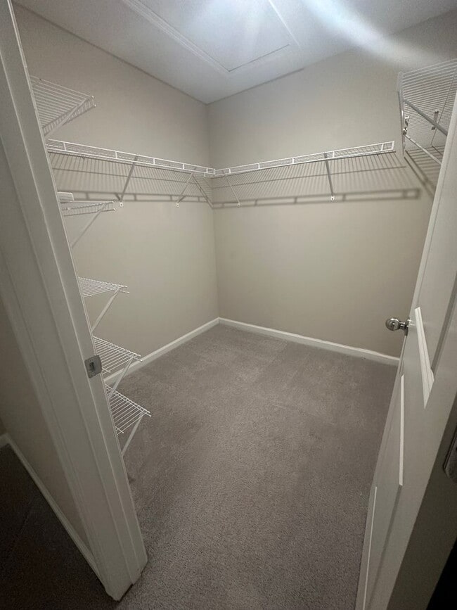Building Photo - St. Johns, Beach Walk Community, Townhouse