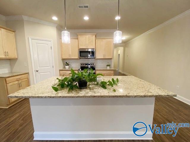Building Photo - 110 Pointe Haven Ct