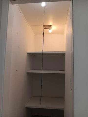 Building Photo - 3719 Delaware Ave