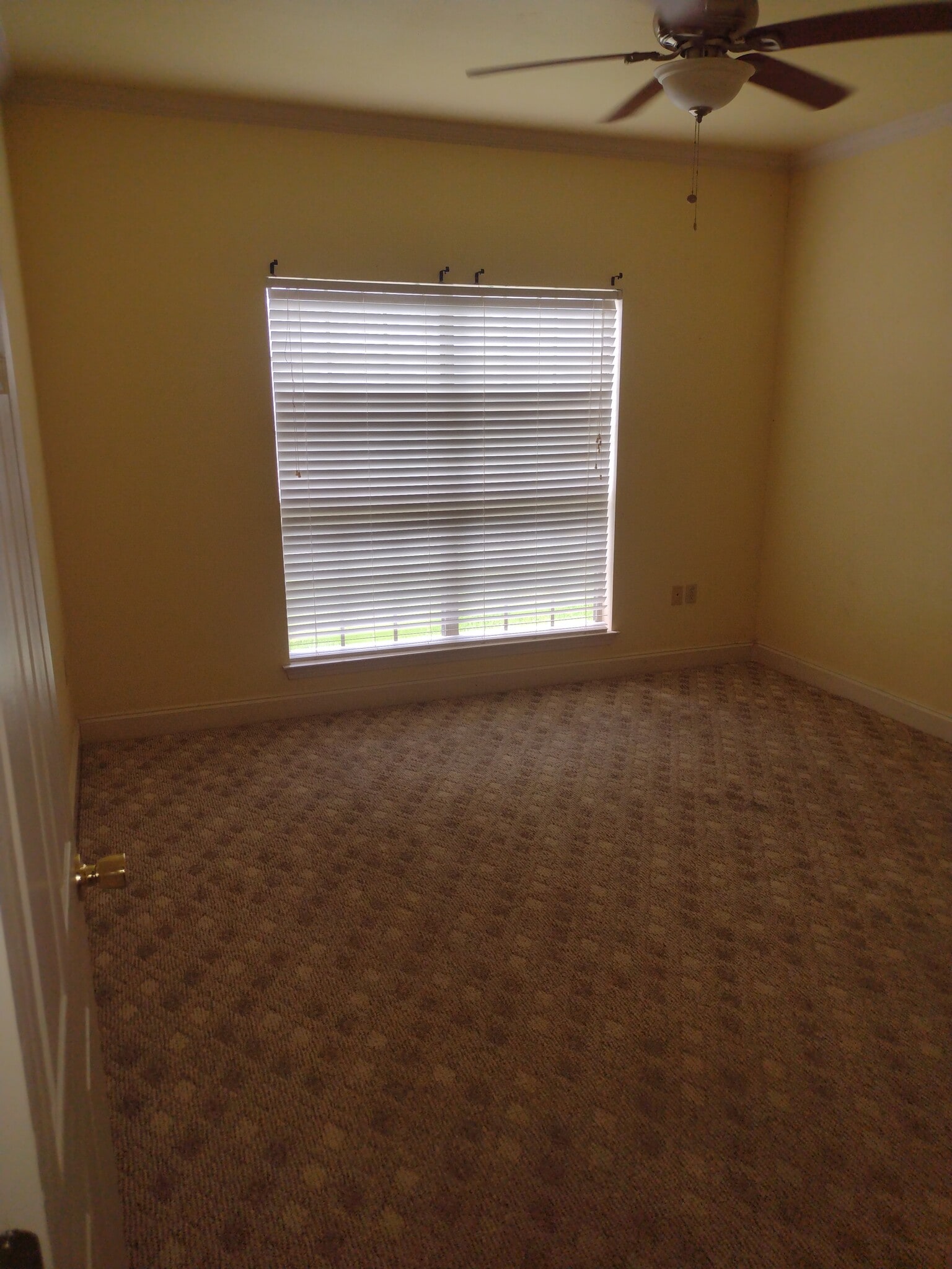 Master bedroom - 243 Martin Luther King Jr St