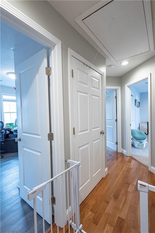 Building Photo - 88 Phillip Ave