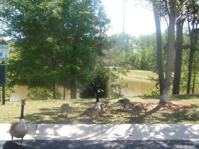 Building Photo - 6122 Deluna Way