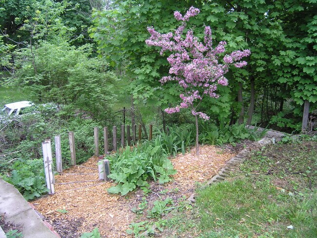 Pathway leading to the riverfront - 416 N Huron St