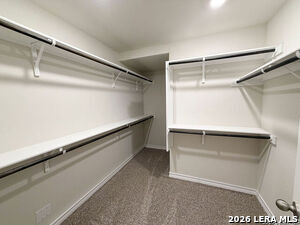 Building Photo - 547 Avalon