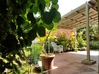 Building Photo - 2br/1ba/2pkg in Coconut Grove Kailua near ...