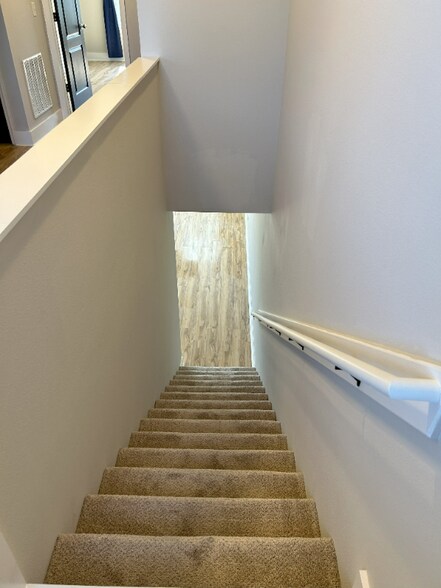 Building Photo - 217 Michelangelo Pl