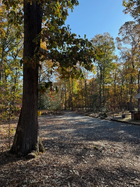 Building Photo - 190 Lake Shore Dr