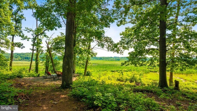 Building Photo - 15590 Canvasback Ct