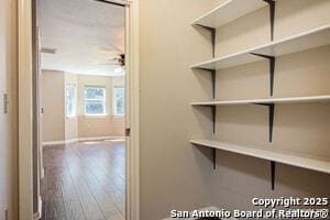 Building Photo - 8706 Collingwood