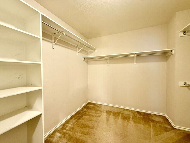 Building Photo - 10843 Canter Spur