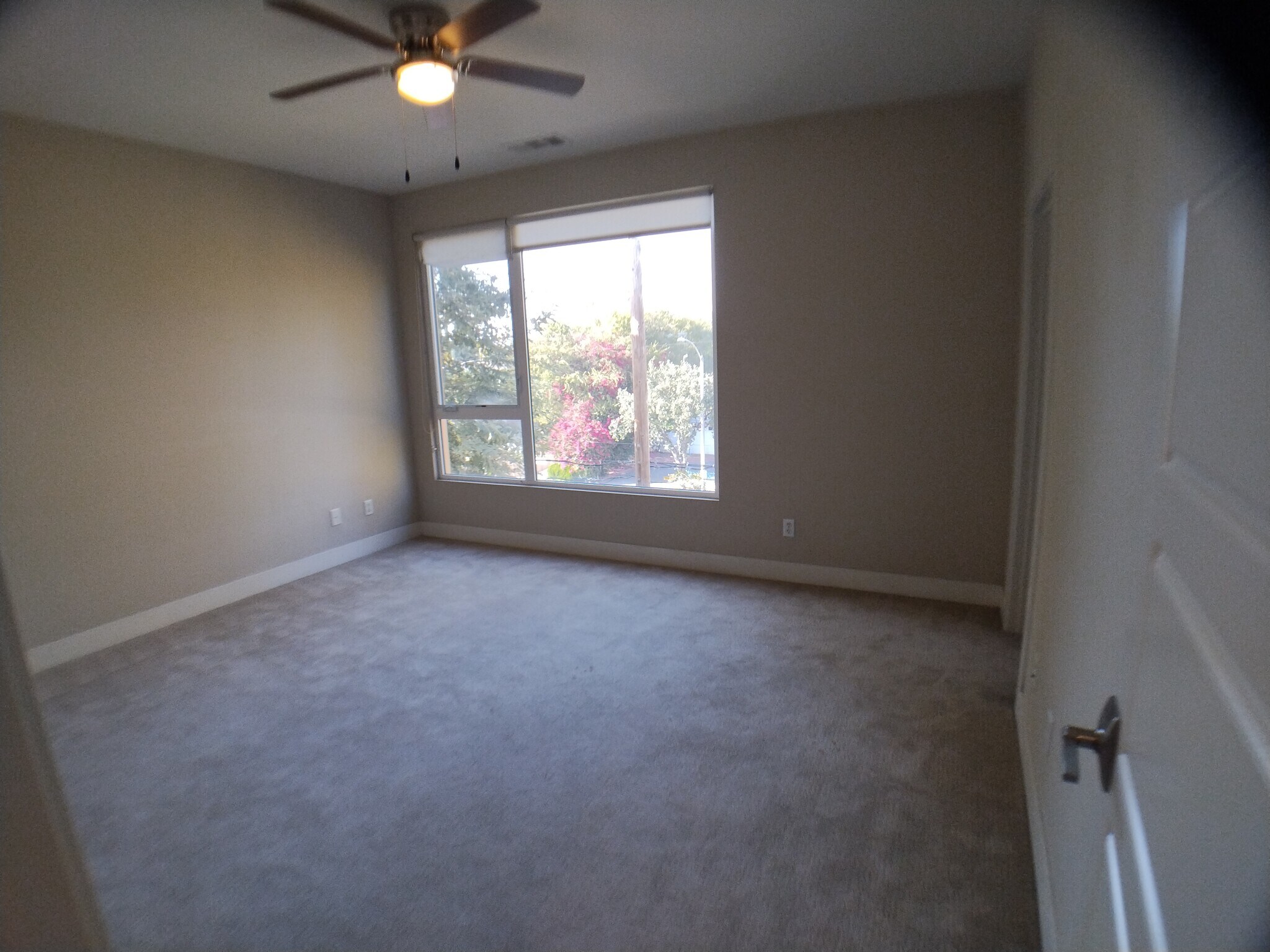 Building Photo - 139 W Live Oak Ave