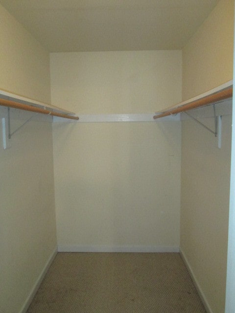 Building Photo - Luxurious 3 Bed, 2.5 Bath Transitional wit...