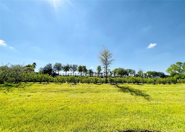 Building Photo - 14297 Oviedo Pl
