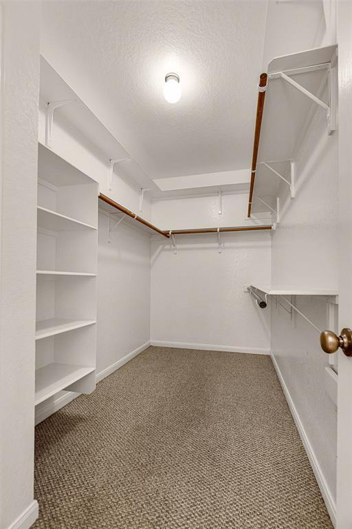 Building Photo - 2220 Comal Springs