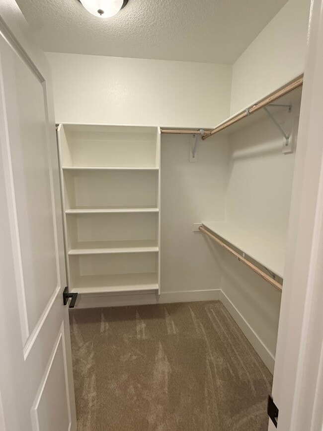 Building Photo - Goregous 3 Bedroom with Loft and Bonus Room! High Ceilings! Pantry! Keyless Entry! Double Oven & ...