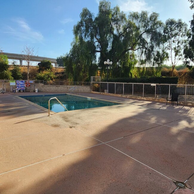 Pool Area - 10901 Laurel Canyon Blvd